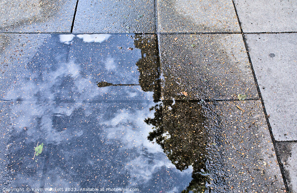 Sidewalk reflections from a rain  puddle Picture Board by Kevin Plunkett