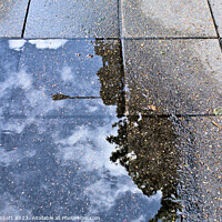 Buy canvas prints of Sidewalk reflections from a rain  puddle by Kevin Plunkett
