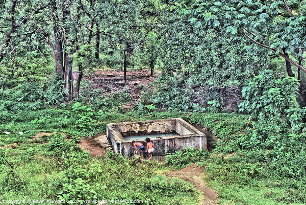 A water tank in a forest. Sri Lanka Picture Board by Kevin Plunkett