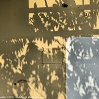 Buy canvas prints of Shadows on a wall by Kevin Plunkett