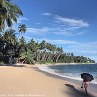Buy canvas prints of Sri Lankan Beach  by Kevin Plunkett