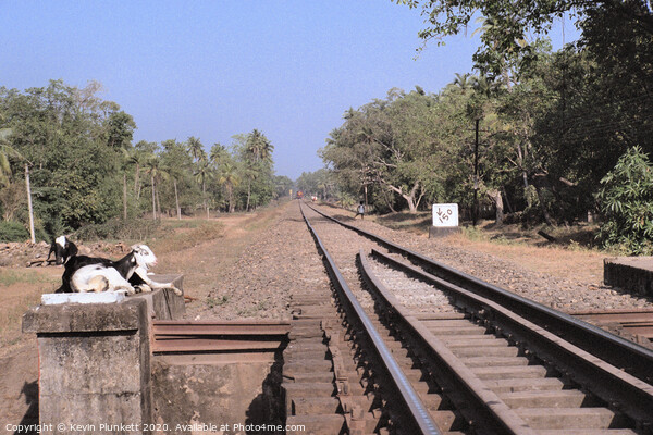 Railway Lines, Margo, Goa Picture Board by Kevin Plunkett