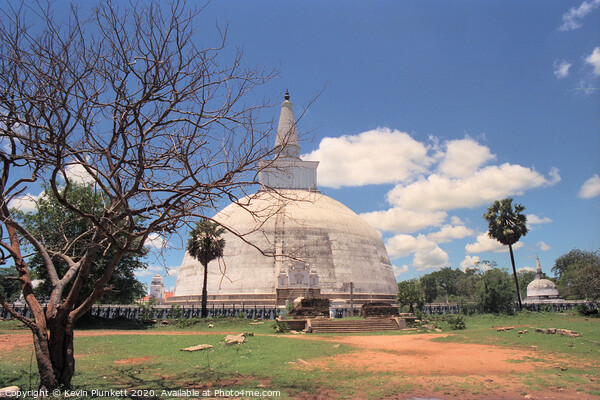 Anuradhapura, Sri Lanka Picture Board by Kevin Plunkett