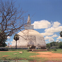 Buy canvas prints of Anuradhapura, Sri Lanka by Kevin Plunkett