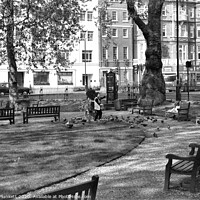 Buy canvas prints of Tai Chi in Berkeley Square London by Kevin Plunkett