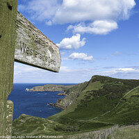 Buy canvas prints of Coastal Path in Scotland by Danilo Cattani