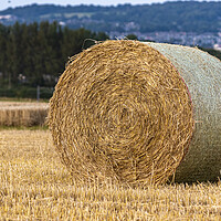 Buy canvas prints of Hay bales by Danilo Cattani