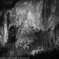 Buy canvas prints of Bridalveil Fall, Yosemite in black and white by harry van Gorkum