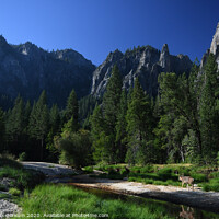 Buy canvas prints of Deer under the rocks in Yosemite by harry van Gorkum