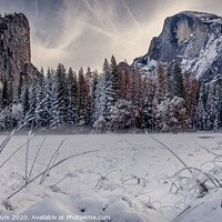 Buy canvas prints of Half Dome in Yosemite in snow by harry van Gorkum