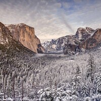 Buy canvas prints of Yosemite valley in the snow by harry van Gorkum