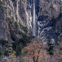 Buy canvas prints of Bridaveil Falls, Yosemite in the snow. by harry van Gorkum