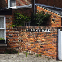 Buy canvas prints of William's walk Colchester by Efraim Gal