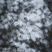 Buy canvas prints of Abstract water texture by Efraim Gal