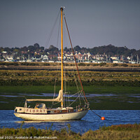Buy canvas prints of Floray and West Mersea by Efraim Gal