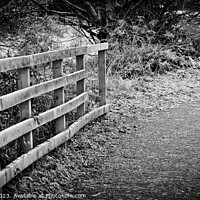 Buy canvas prints of Frosty fence by craig hopkins