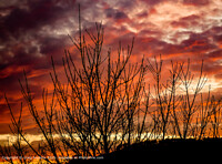 Click to show how this picture will look as a piece of wall art