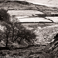 Buy canvas prints of Yorkshire dale by craig hopkins
