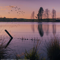 Buy canvas prints of Secret Lake at Sunset with birds by Heather Sheldrick