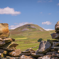 Buy canvas prints of Pen-y-Ghent Through Drystone Wall by Heather Sheldrick