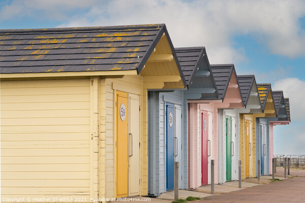 Beach Huts Mablethorpe Picture Board by Heather Sheldrick