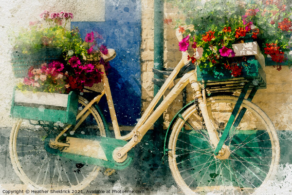 Old bicycle with flowers Picture Board by Heather Sheldrick