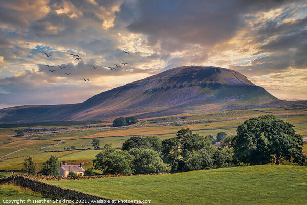Pen-y-Ghent Morning Picture Board by Heather Sheldrick