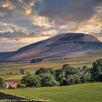 Buy canvas prints of Pen-y-Ghent Morning by Heather Sheldrick