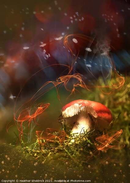 Magical Mushroom Picture Board by Heather Sheldrick