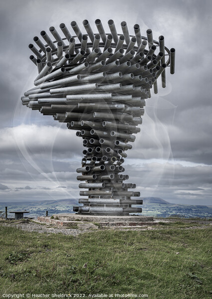 Singing Ringing Tree, Burnley with Pendle Hill Picture Board by Heather Sheldrick