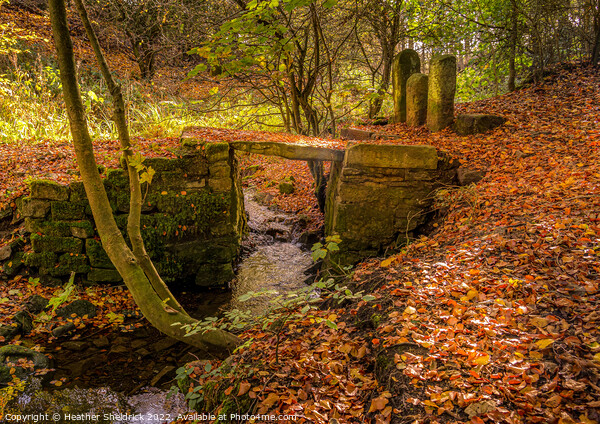 Ancient Bridge in Autumn Picture Board by Heather Sheldrick