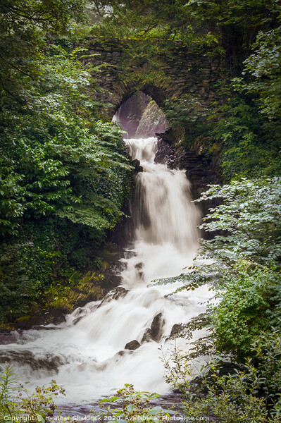 Ingleborough Waterfall with Bridge Picture Board by Heather Sheldrick