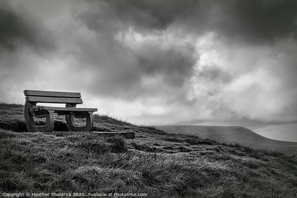 Weets Hill Bench with Pendle Hill in Background Picture Board by Heather Sheldrick