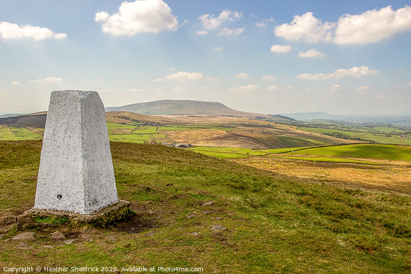 Trig Point on Weets Hill with Pendle Hill in Background Picture Board by Heather Sheldrick