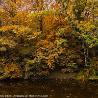 Buy canvas prints of Autumnal trees reflected in canal at Barnoldswick, by Heather Sheldrick
