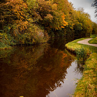 Buy canvas prints of Autumnal trees reflected in canal by Heather Sheldrick