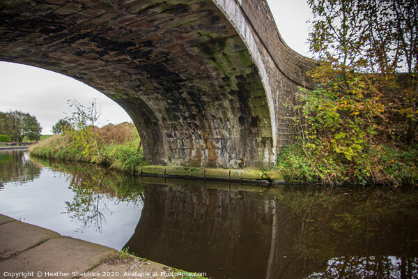 Canal Bridge on Leeds and Liverpool Canal Picture Board by Heather Sheldrick