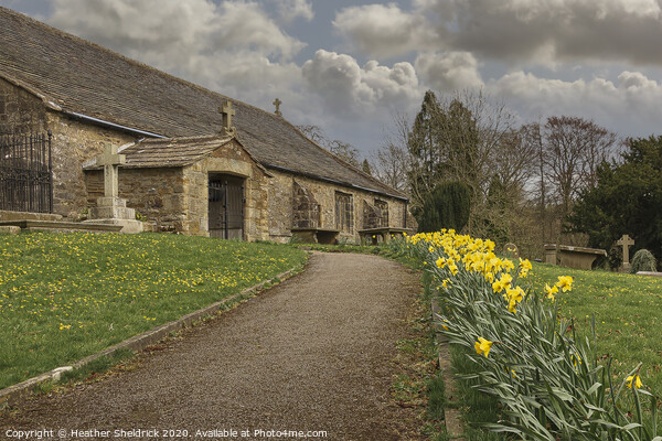 Ghyll Church Barnoldswick with Daffodils Picture Board by Heather Sheldrick