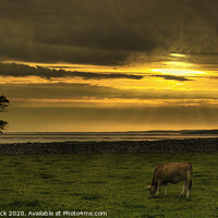 Buy canvas prints of Silverdale Sunset with Cattle by Heather Sheldrick