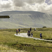 Buy canvas prints of Pen-y-Ghent from Ribblehead by Heather Sheldrick