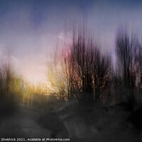 Buy canvas prints of ICM Sunset with Tree Silhouettes Variation by Heather Sheldrick