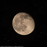 Buy canvas prints of Moon At Midnight by Heather Sheldrick