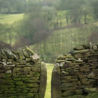 Buy canvas prints of Drystone wall and stile by Heather Sheldrick