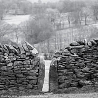 Buy canvas prints of Drystone wall with stile by Heather Sheldrick