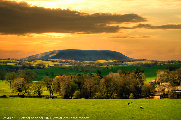Old Pendle Sunset Picture Board by Heather Sheldrick