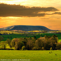 Buy canvas prints of Old Pendle Sunset by Heather Sheldrick