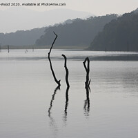 Buy canvas prints of Indian reservoir by Peter Ekin-Wood