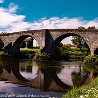 Buy canvas prints of Stirling bridge  by Graham Mathieson