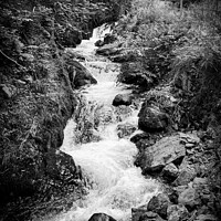 Buy canvas prints of Tillicoultry Glen  by Graham Mathieson