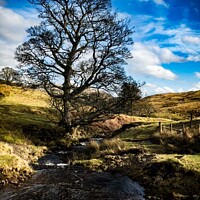 Buy canvas prints of The Stream  by Graham Mathieson